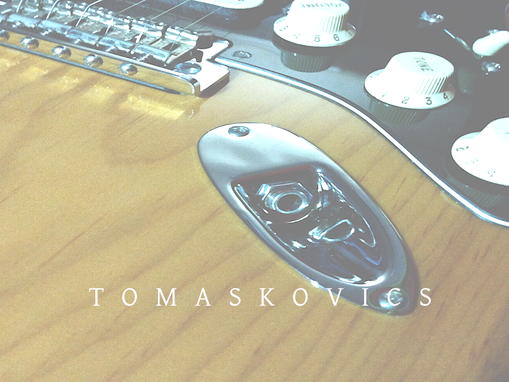 Fender Strat Input Jack Guitarist James Tomaskovics LLC Tomaskovics.com Images