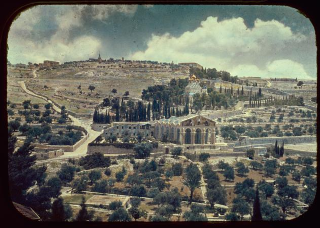 Mount of Olives, Bethany, etc. Mount of Olives from the city wall Matson Photo Service, photographer between 1950 and 1977 Library of Congress Prints and Photographs Division Washington, D.C. 20540 Mount of Olives, Bethany, etc. Mount of Olives from the city wall Matson Photo Service, photographer between 1950 and 1977 Library of Congress Prints and Photographs Division Washington, D.C. 20540